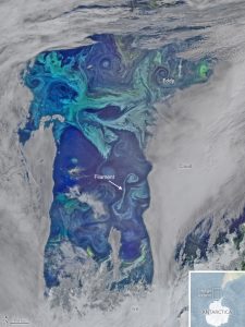 Visible Infrared Image from the Suomi satellite captures an extensive phytoplankton bloom just west of the Drake Passage, one of the most turbulent regions in the ocean. Mesoscale eddies and submesoscales filaments are noticeable on this image. © https://earthobservatory. nasa.gov.