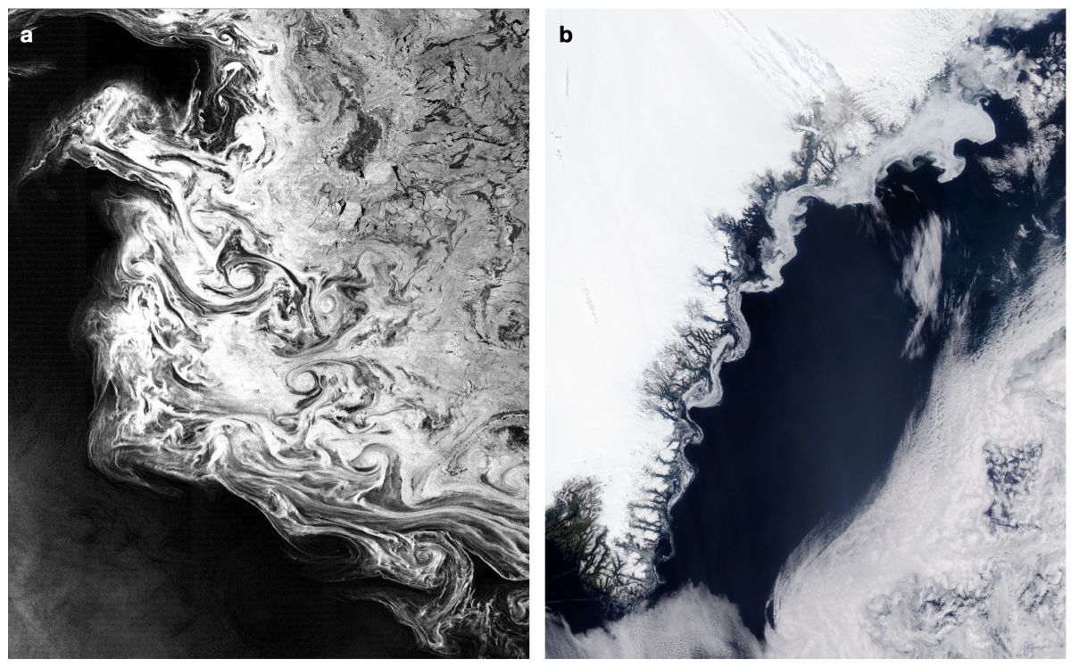 Sea-ice interactions | Lia Siegelman Research Group